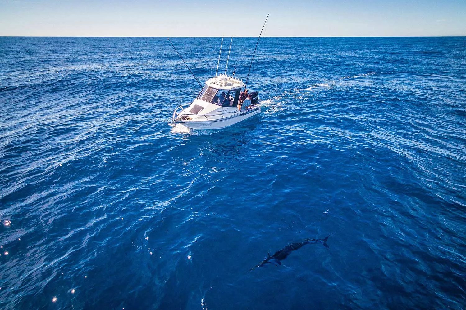Boat Reviews Bar Crusher 670ht Fishing World Summer 2019 2