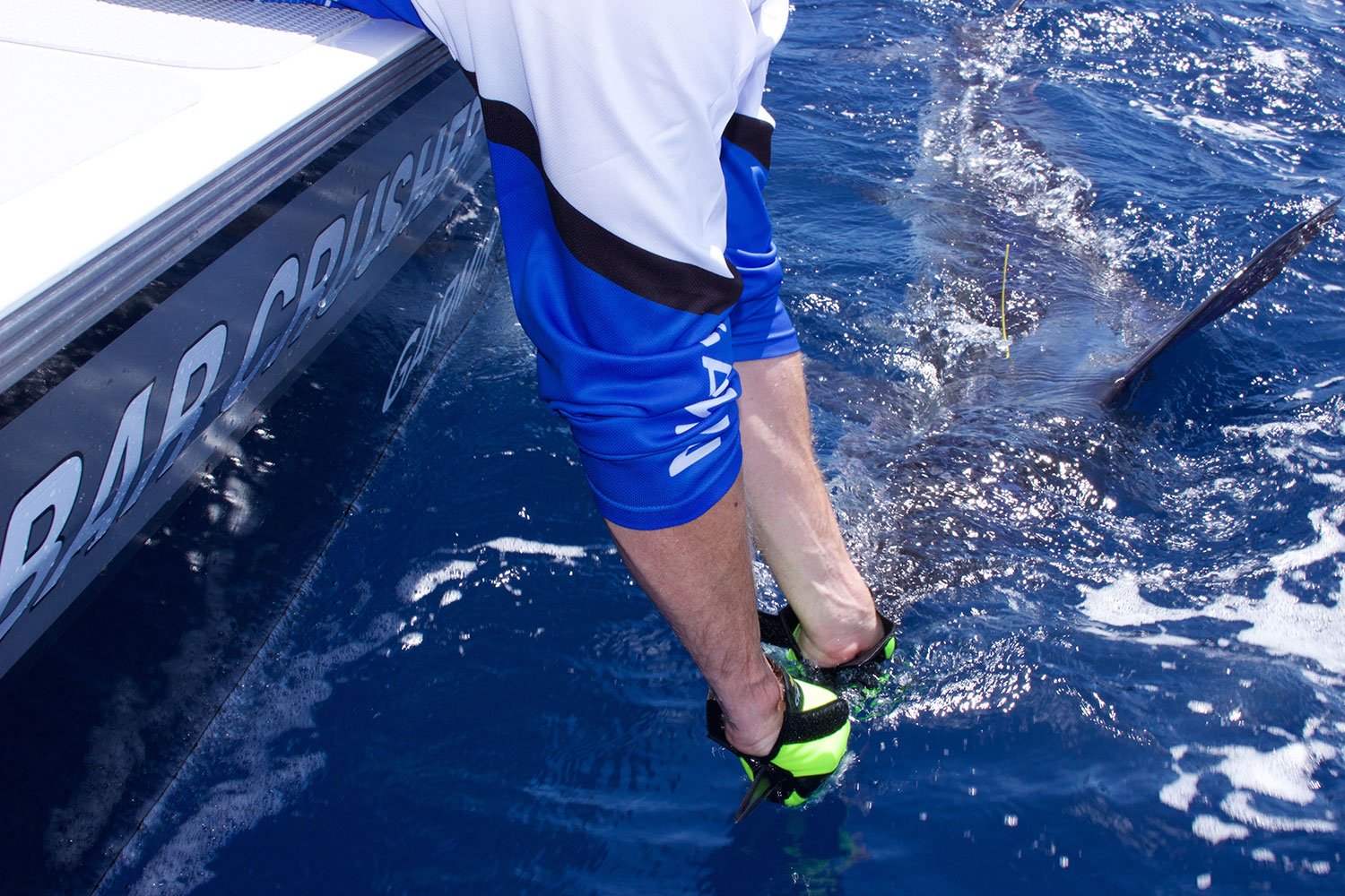 Trailer boat marlin fishing