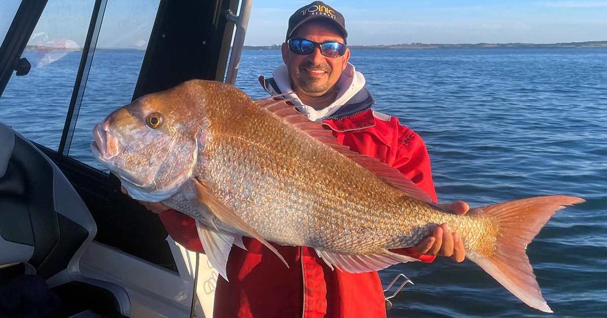 20-Pound Victorian Snapper