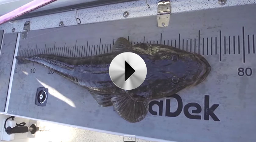 670Ht Fishing Journey